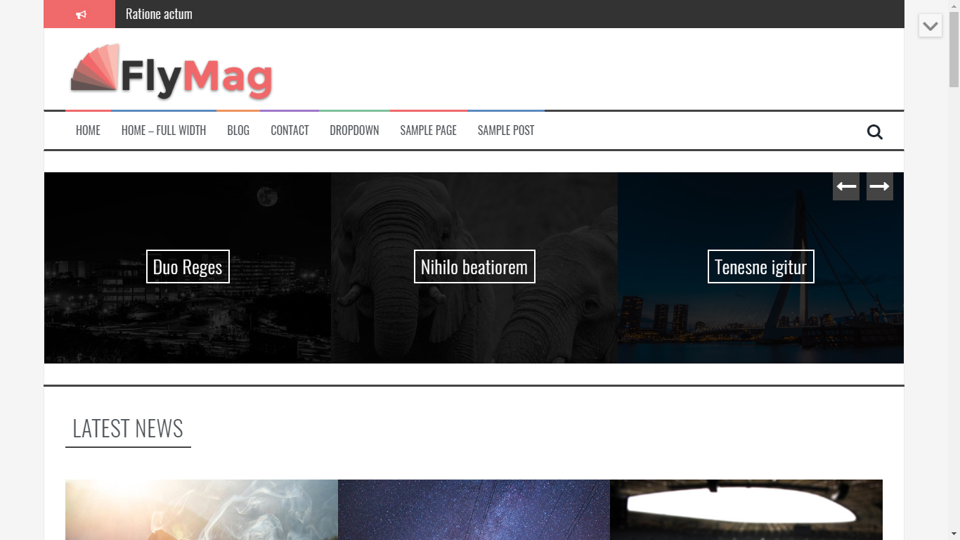 CA_FlyMag