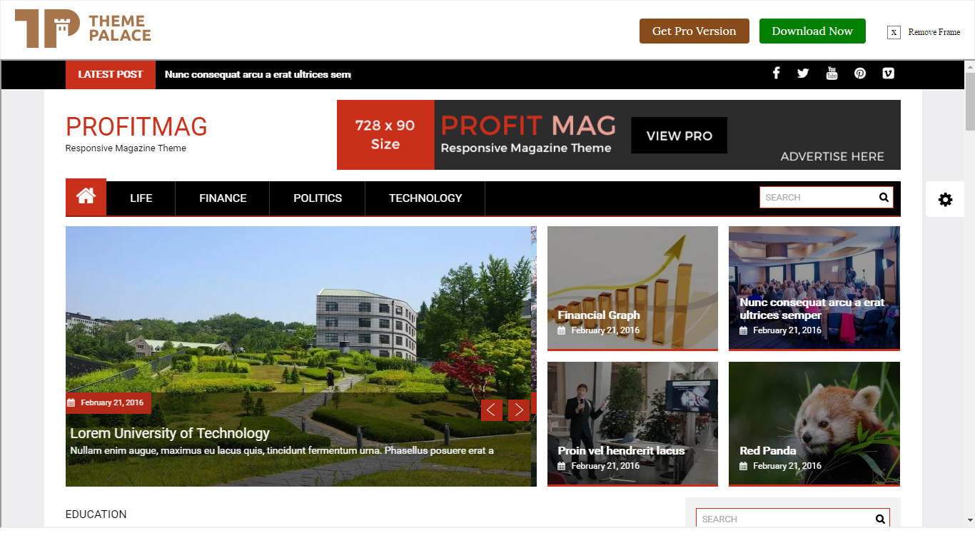 CA_ProfitmMag
